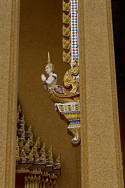 Talin chan-NOV13-093